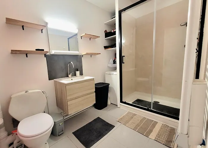 Lejlighed Climatise ,2 ,balcon Vue Dordogne, En Centre Bergerac